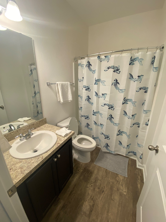 Second bathroom - House in Zephryhills