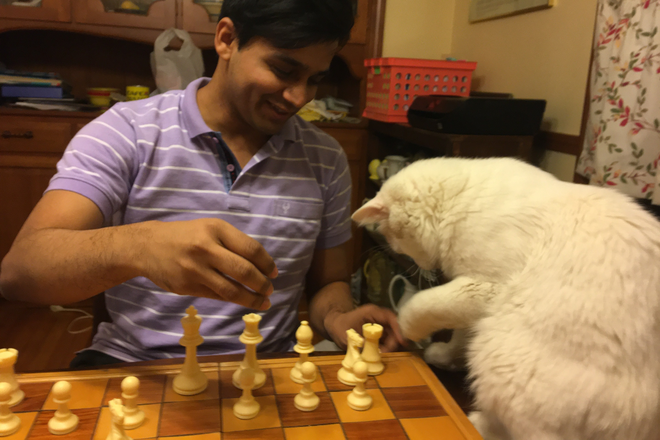 Chess Grandmaster Peanut the Cat! - Lovely Furnished  Home Close to Harvard   International Scholars Welcome!