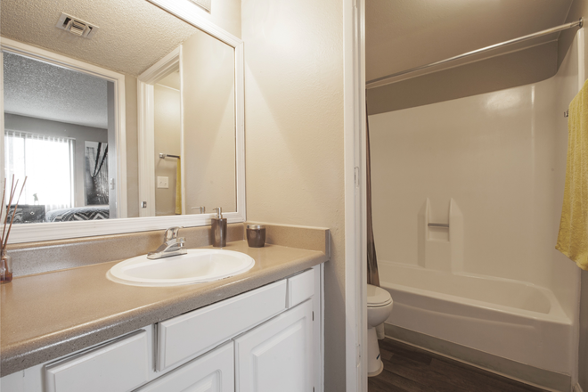 Upgraded Bathroom - NEW Low Price for 2 Bedroom!  No Rent Until September 1st! Apartments
