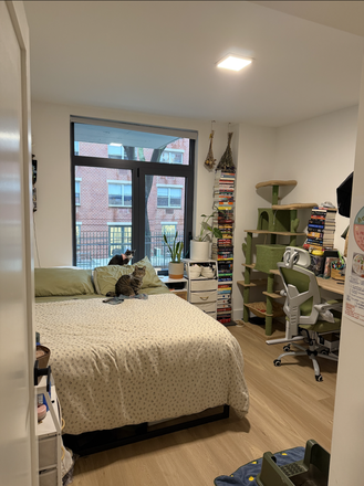 Bedroom - Room in LES available 15th June  - 31st of August (flexible)