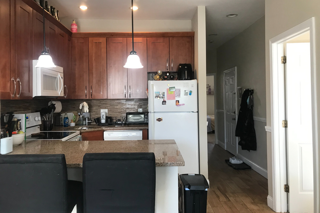 Call NOW for showings! 617-236-8600 - SYMPHONY RD - RENOVATED 3BR/1BA CONDO NEAR SCHOOL FOR *9/1/2026* W/ LNDRY IN BLDNG, EQUAL BDRMS, DW!