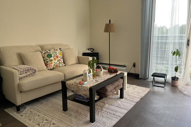 living room - Summer Sublease for UCI Campus 1B1B Apartment