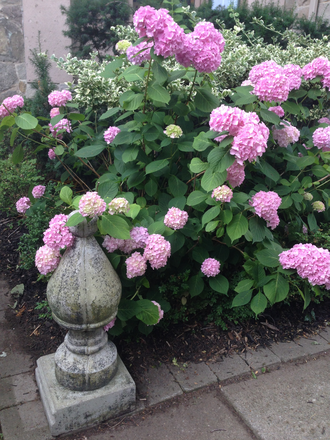 Walkway of exterior of home - Luxury Furnished Apartment in Private Home: 2 Blocks from Bloor Subway