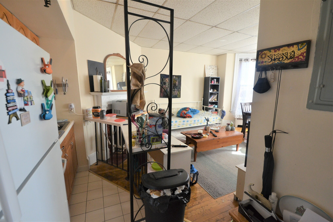 Living room - NO BROKER FEE- BEAUTIFUL 1 BED ON MARLBOROUGH ST AVAIL 9/1/25 Apartments