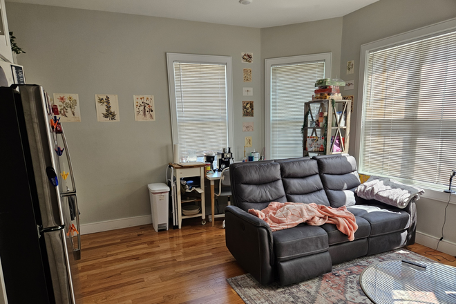Living room/kitchen - Summer 2 Sublet (July & August) Female Preferred