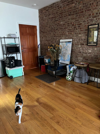 entrance/living space - Bushwick, 1 Small BR in 3-BR, 1-BA Apartment