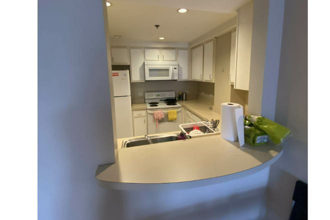 kitchen - 2 beds, 2 baths on Comm Ave ~~ Hardwood floor ~~ Condo