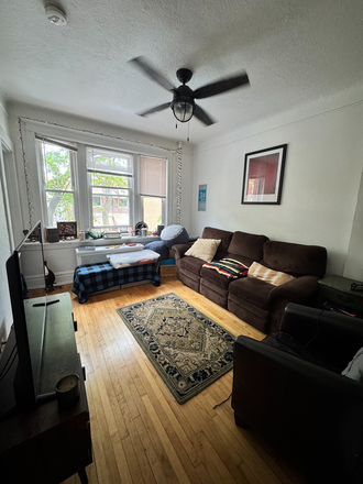 Living room overlooking tree-lined street - Light-filled 2 bedroom apartment steps from UIC campus