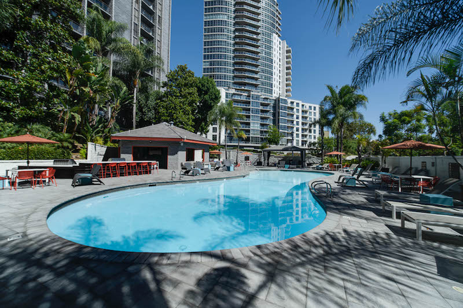 Swimming-pool area - Downtown for Winter or Spring session!