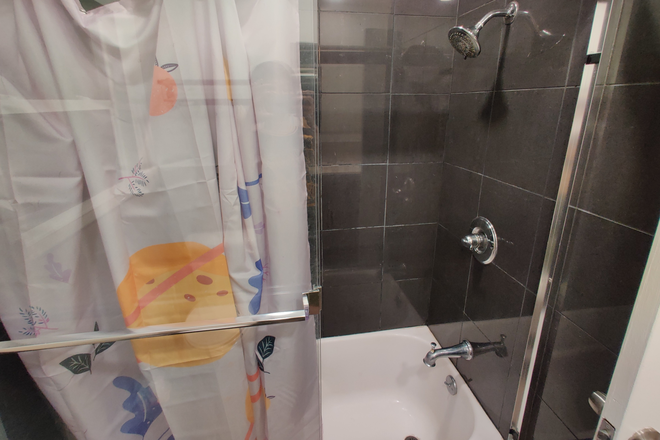 Bathroom picture 2 - House 5b2b close to campus