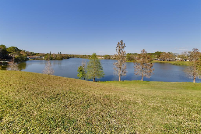 Walking Trail - 1.3 Miles from USF Campus! 💚 House