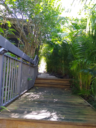 path to pool - Beautiful Home Close to FAU Campus