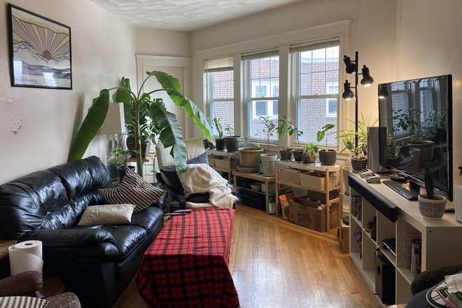 Living room - Sunny Central Square apartment