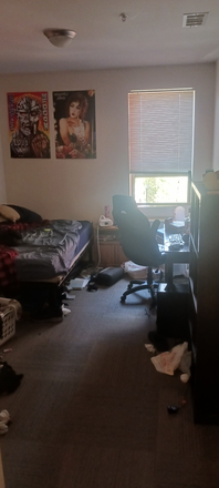 Main Bedroom, will be clean when you move in - Apartment 315, Room D