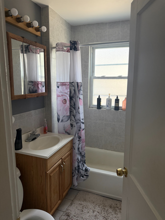 Downstairs Bathroom - 91 Academy Hill Rd Apartments