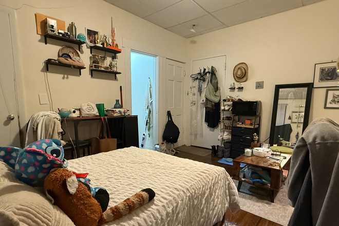 living/sleeping area - Cozy Fenway Studio in managed building for 9/1 - NO FEE! Apartments
