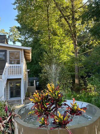 Fountain area by the Firepit - FULLY FURNISHED HOUSE W/PRIVATE/SHARED ROOMS NEAR CAMPUS, FOR MALE STUDENTS OR WORKING MALES