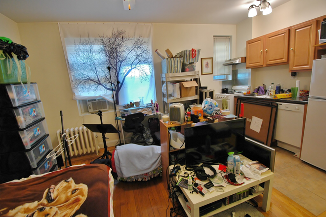 Studio - 24 Haviland St. - NO BROKER'S FEE! COMFORTABLE STUDIO on 24 Haviland St. - Avail 9/01 Apartments