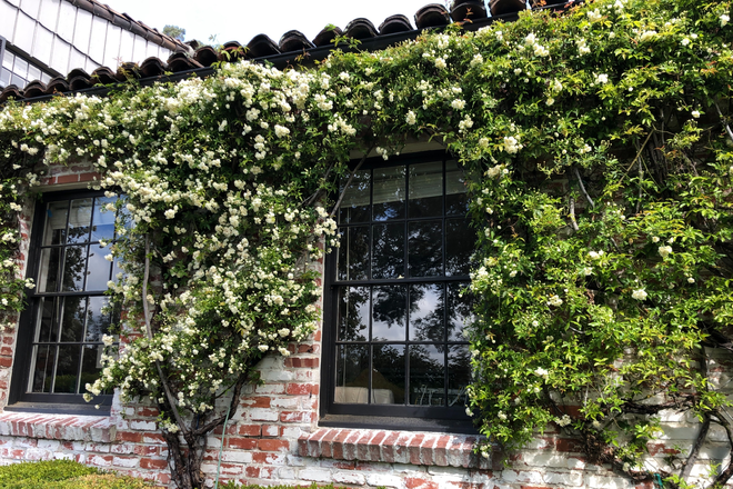 Front exterior - Historic Claremont Mediterranean Home, Peaceful, Mature Gardens, Bay Views, Trails