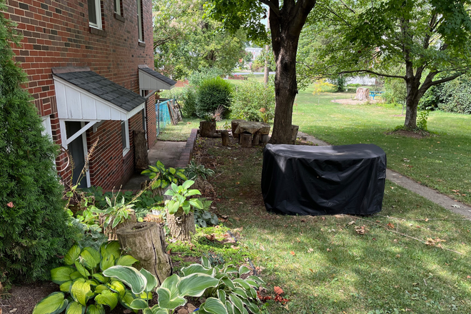 Outdoor green space - Quiet Neighborhood, Walkout Basement Apartment, Separate Entrances