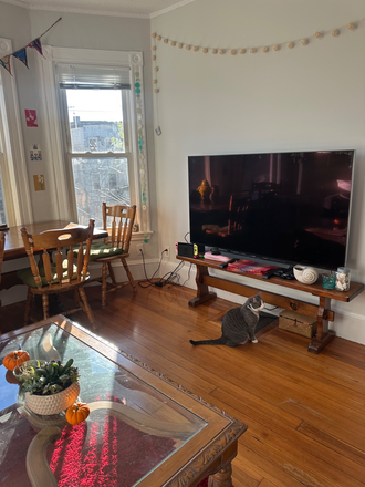 Living room - TV, TV stand, coffee table, dining table, 4 dining chairs - Spacious Single Bedroom Spring Sublet 2026, Fully Furnished with Attached Porch Apartments