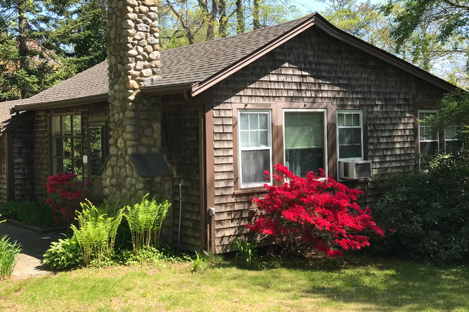 Treed yard - Quiet, Convenient House