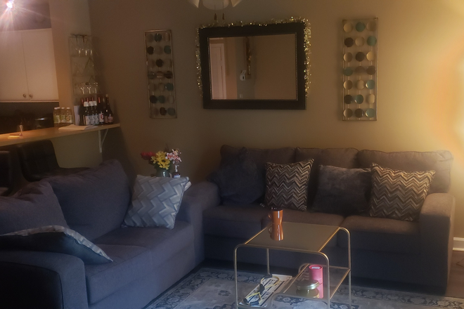 Iiving room - 1st floor apartment close to campus, across from Starbucks