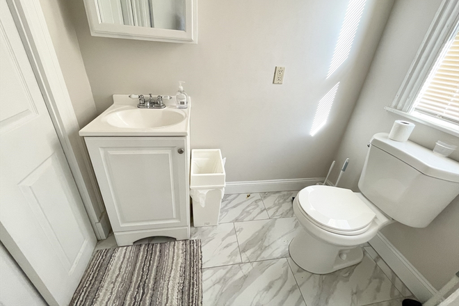 apartment - Umass/JFK/4bedrooms/1.5bathroom Apartments