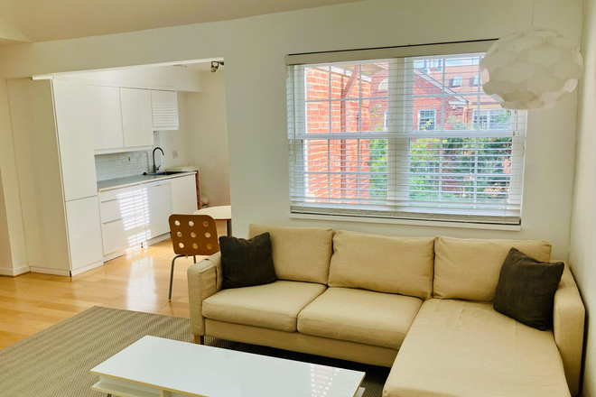 Living Room - NEW LISTING - ROSSLYN GEM, walk to Georgetown Condo