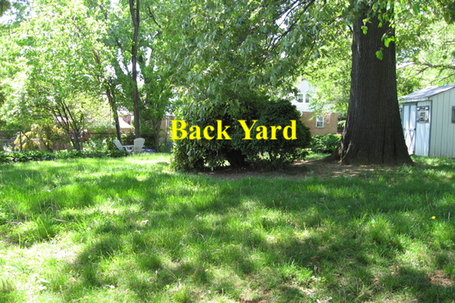 Back Yard - Great Room in Shared House. 7-min walk to metro&nbsp;(Close to UMD)