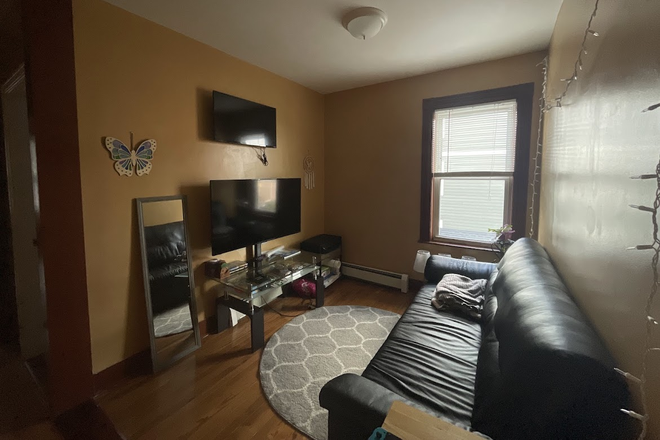 Living Room - 4 Bed/2 Bath Apartment in Dorchester