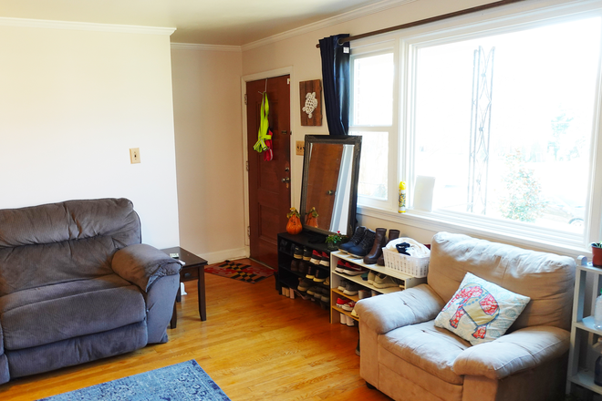 LR  picture window - 3 bed 1 bath apt in private house. Walk to UMD $875 per person.