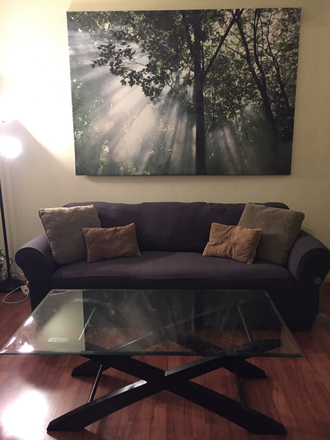 Living Room - Large 1 bdr/1.5 bath FURNISHED condo