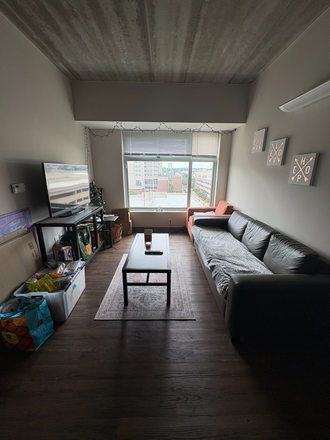 Living Room - Fall 2025 Semester: 2 Bed/2 Bath SHARED Apartment at The View at Montgomery. Looking for 1 girl!