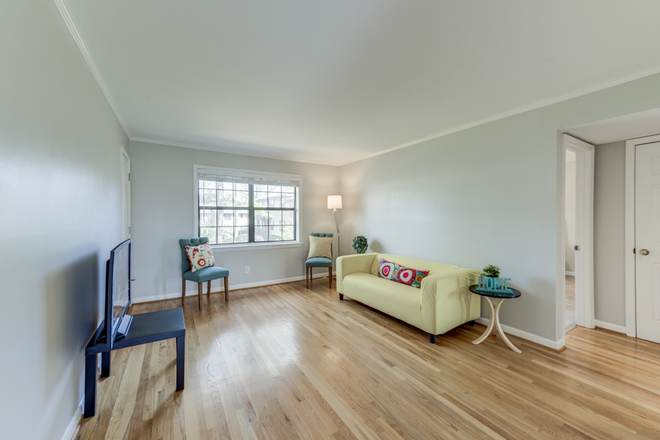 Living room w huge windows to courtyard - Quiet 2 BR / 1 Bath Condo in Candler Park -- Near Marta and An Easy Commute to Emory