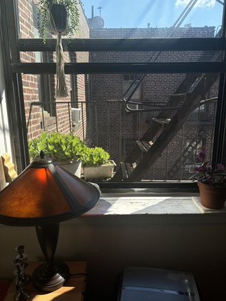 Living Room Window - 3bd/1b Apartments