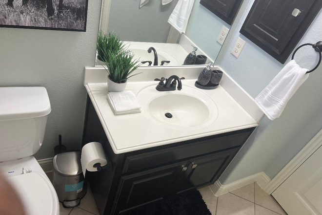 Smaller bedroom bathroom view - Highly Secured and Fully Furnished Luxurious House in between Dallas, Richardson and Garland