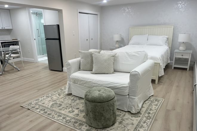 Living area - Newly Furnished Studio with Laundry