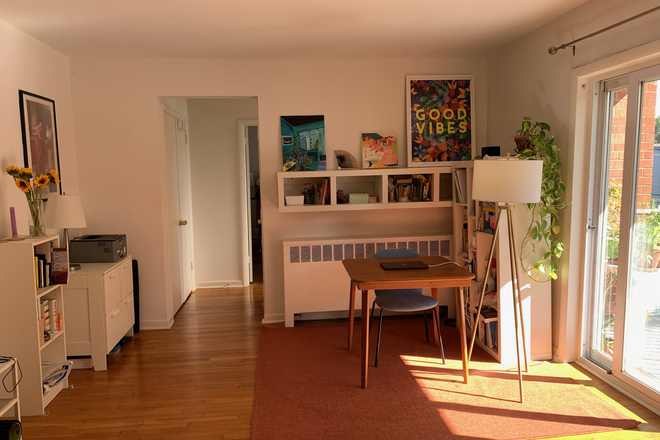 living room - 1BR in NE DC: Balcony, Washer & Dryer, Parking