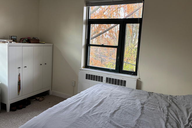 Main bedroom - Botanic Gardens Apartments