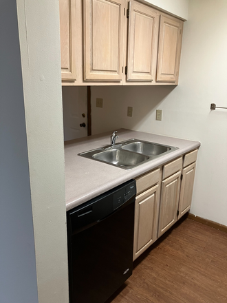Kitchen: sink & dishwasher - 2B/1B Apartment for Summer Sublease
