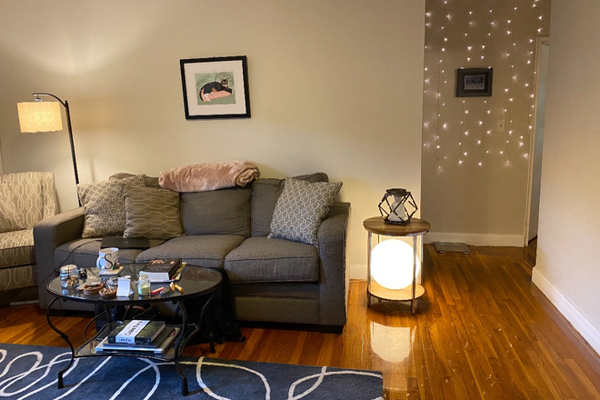 Living Room - Available September 1st! 2 bed 1 bath close to BC shuttle, heat and hot water Included. Apartments