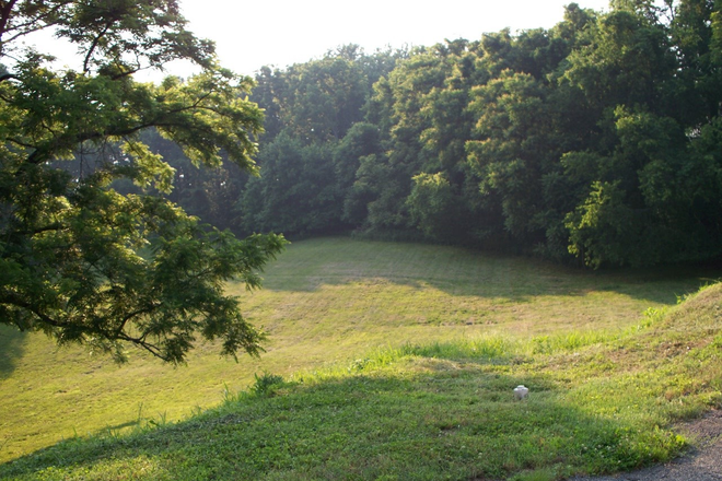 Outside Fields - Lovely tree lined drive, with open fields galore! 1 bedroom 1 bath