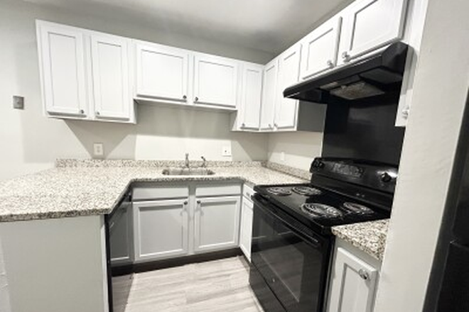 kitchen - Spacious 2 Bedroom apartment in Roxbury (No Brokers Fee)