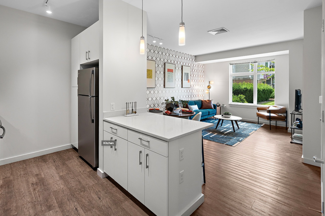 Kitchen/living room - LOCATION!!! Gorgeous 2 Bed / 2 Bath w/ LAUNDRY IN UNIT! Roof Deck! Apartments