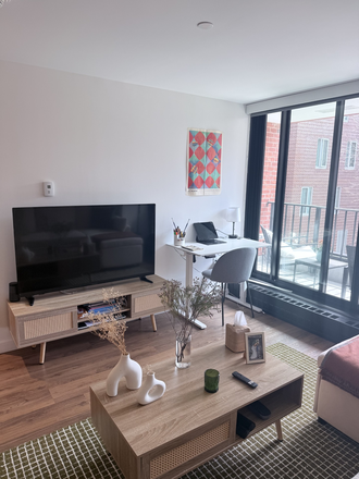 Living room - Fully furnished 1-bedroom apartment next to HBS (Soldiers Field Park). Utilities included!