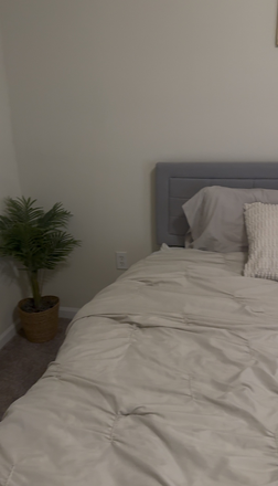 Master Bedroom Bed - Looking to Sublease the Room from May until August - The Preserve Tampa Palms Apartments