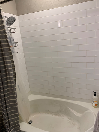 Bedroom: Shower - Elara at the Sawmill Apartments