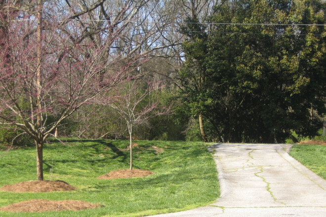 Facing Street - Parkside Nature Setting Duplex