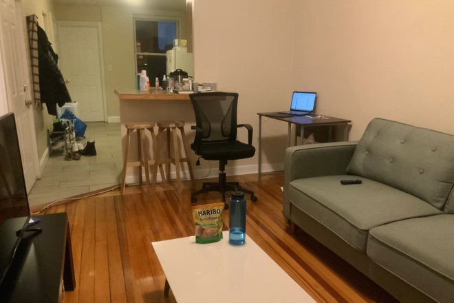 Living Space - 3 BEDROOM - JOY ST, BEACON HILL APARTMENT! AVAILABLE!